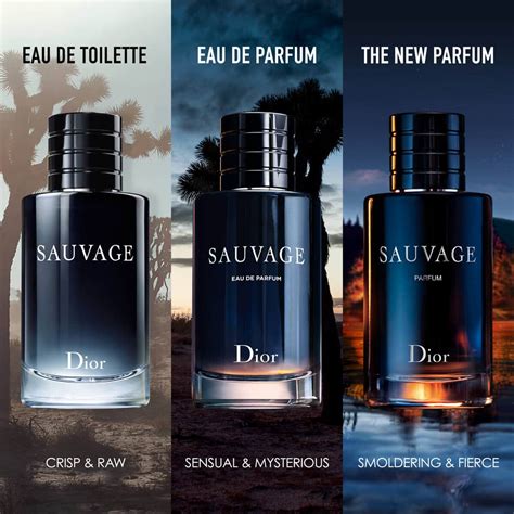 dior sauvage composition|dior sauvage scent profile.